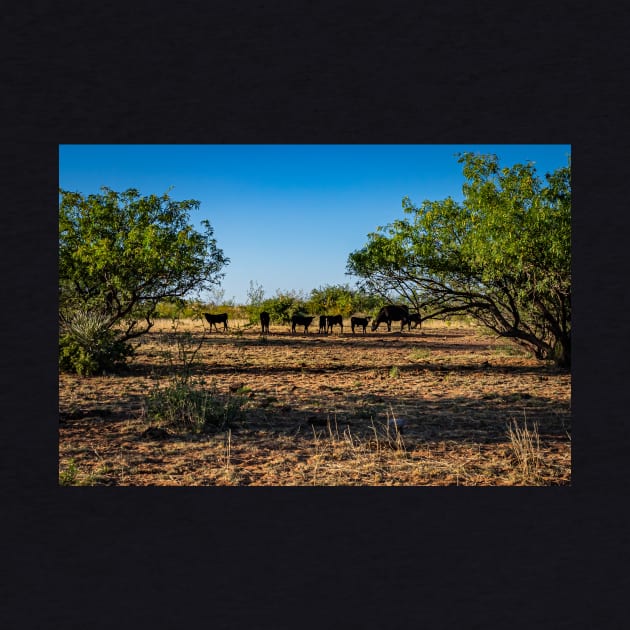 Angus Cow and Calves by Gestalt Imagery